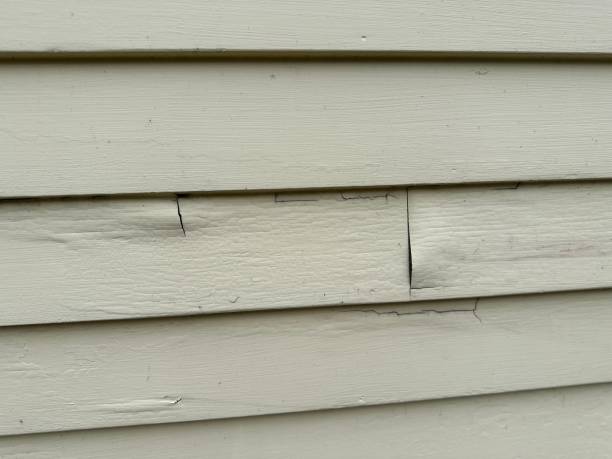 Best Shed Removal  in Page, AZ